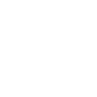 OEM customization service icon